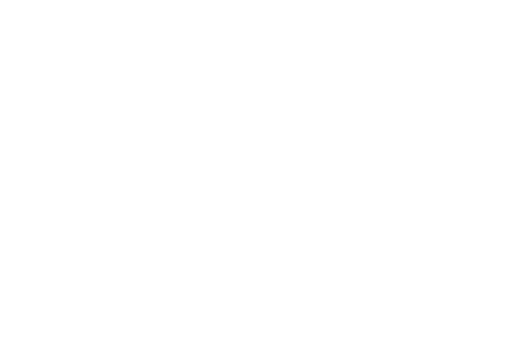 VSR24_logo_white_transparent